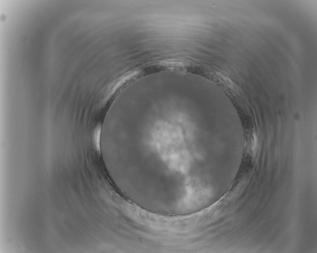 X0000087320047200705041725