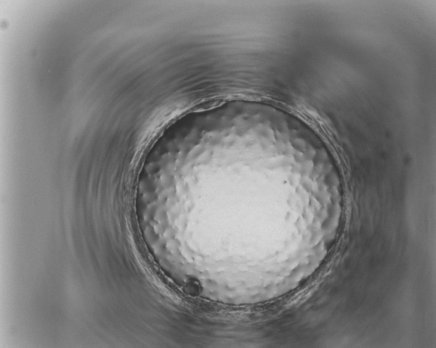 X0000087320049200705041724