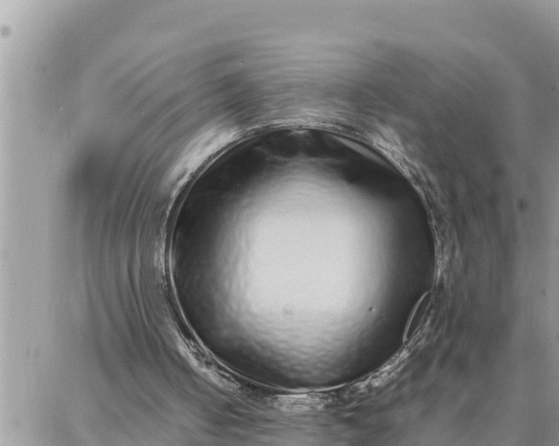 X0000087320050200705041724