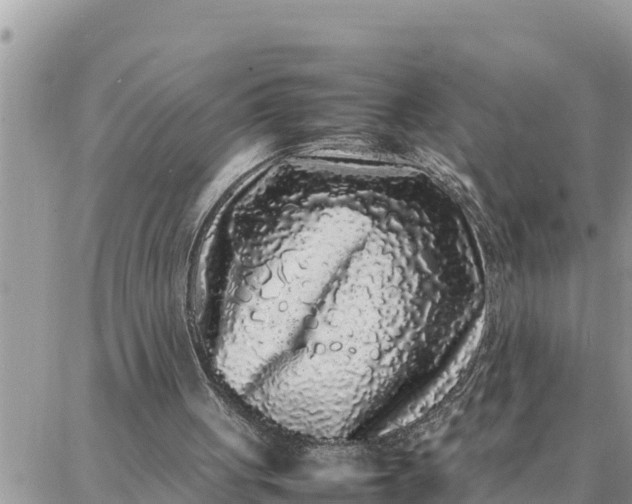 X0000087320051200705041724