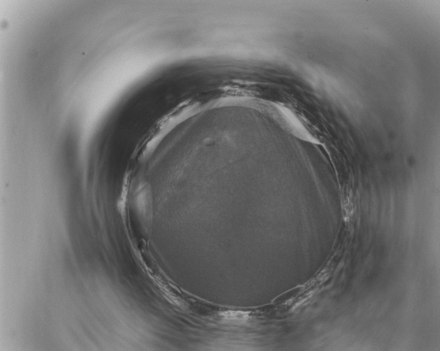 X0000087320052200705041724