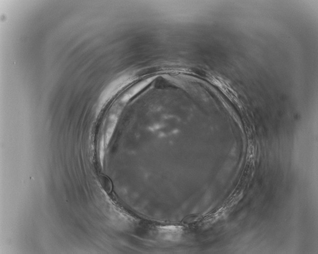 X0000087320053200705041725