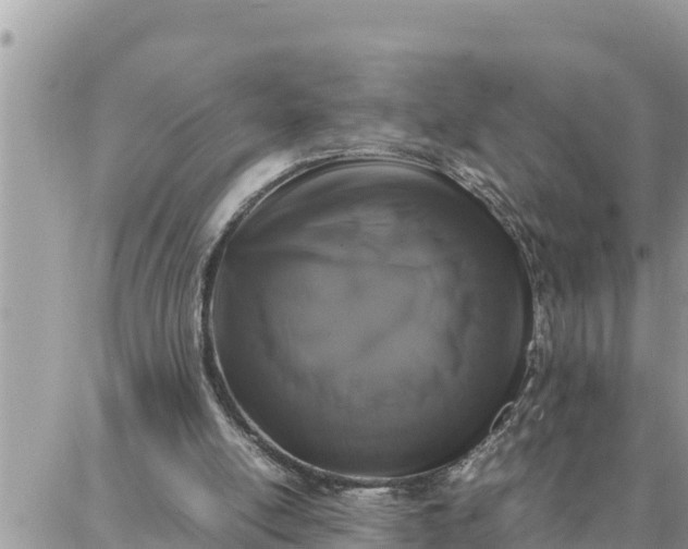 X0000087320054200705041725