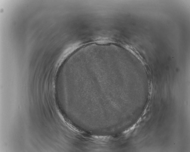 X0000087320055200705041725