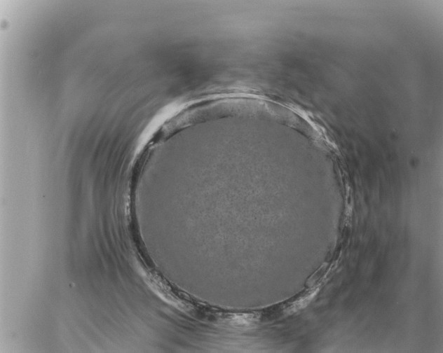 X0000087320056200705041725