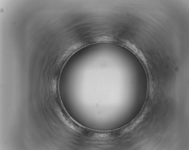 X0000087320057200705041725