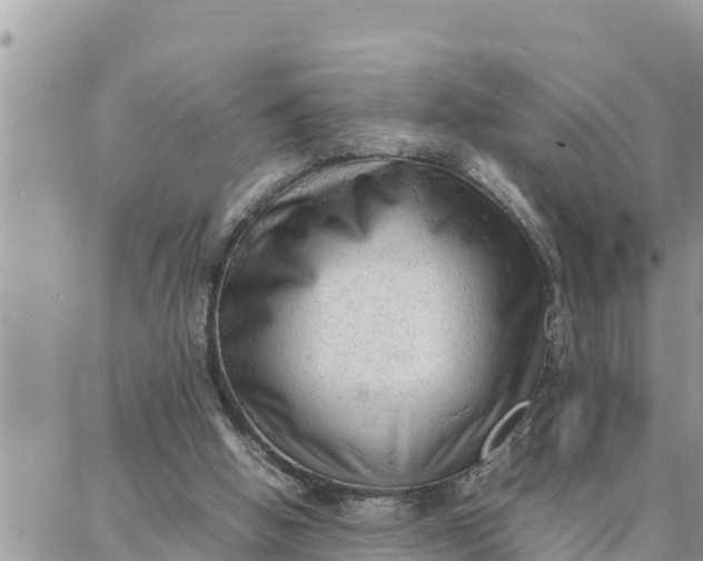 X0000087320058200705041725