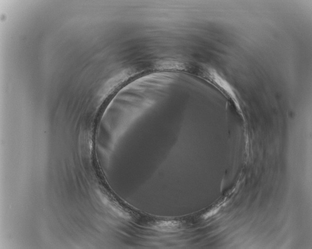 X0000087320059200705041725