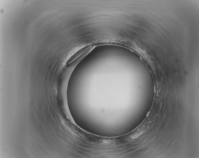 X0000087320060200705041725