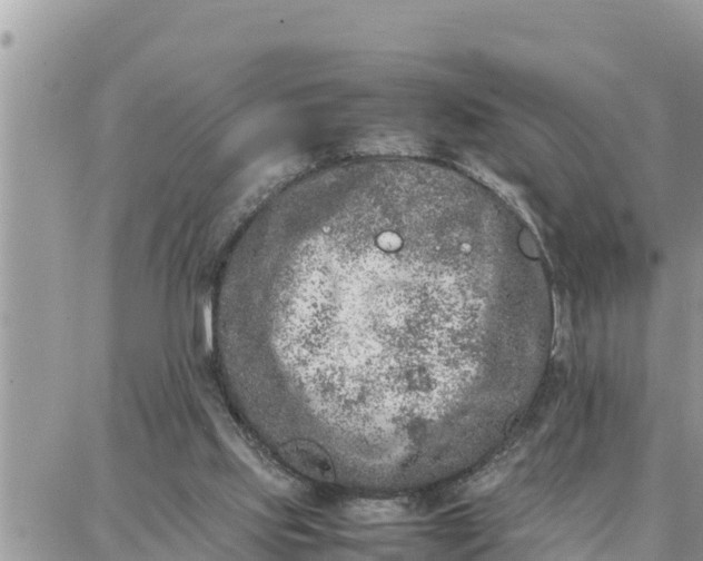 X0000087320061200705041725