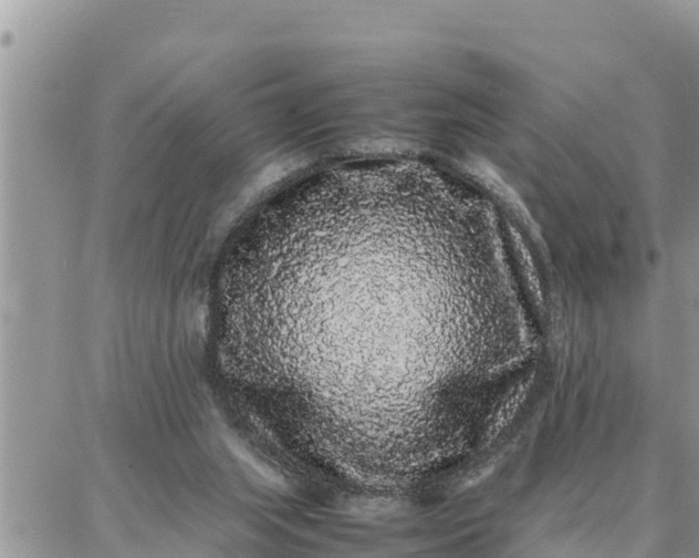 X0000087320063200705041725