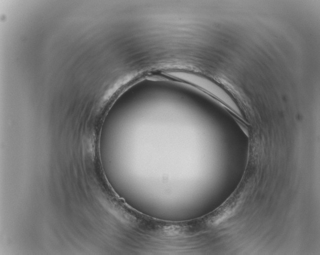 X0000087320064200705041725