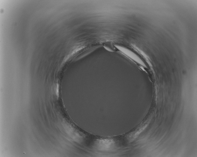 X0000087320067200705041725