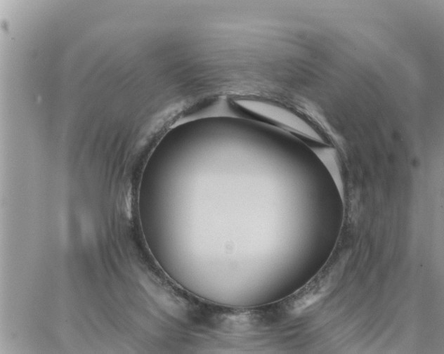 X0000087320068200705041725