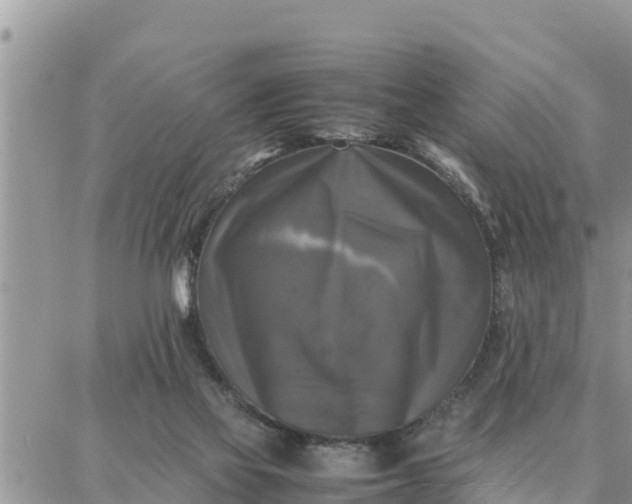 X0000087320069200705041725