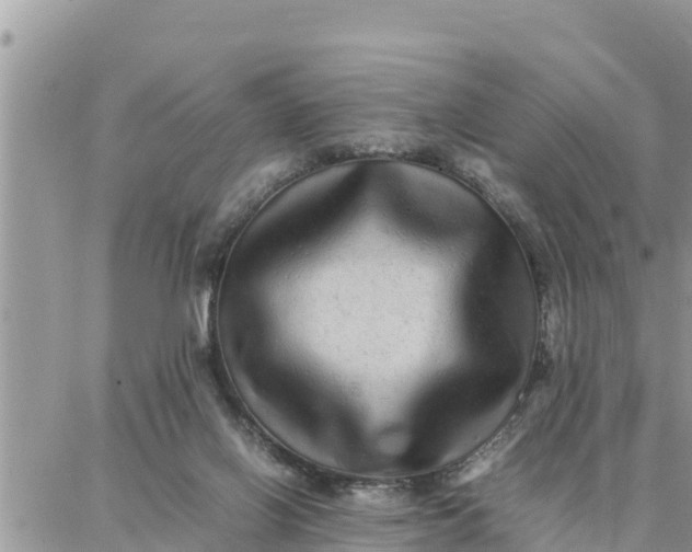 X0000087320070200705041725