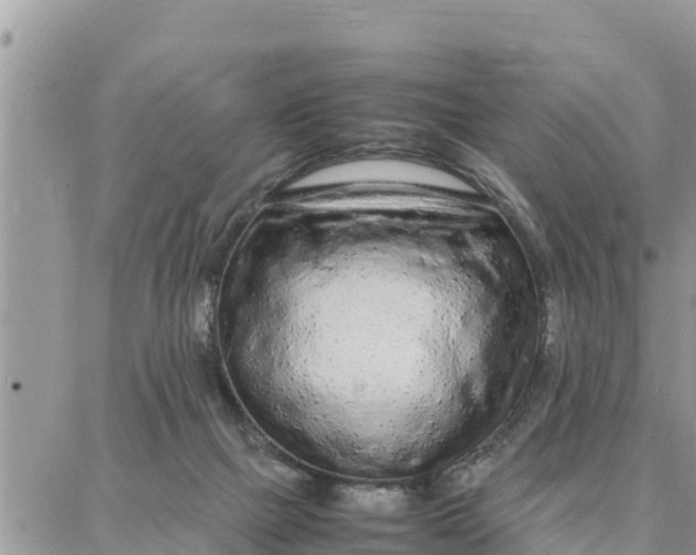 X0000087320073200705041725