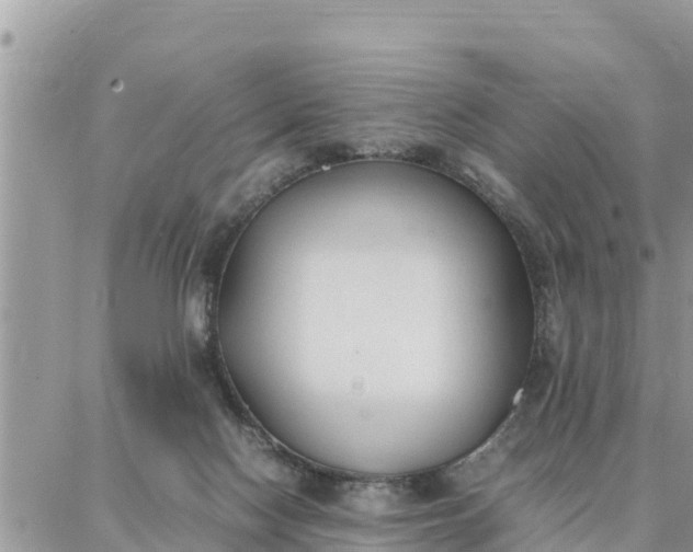 X0000087320074200705041725