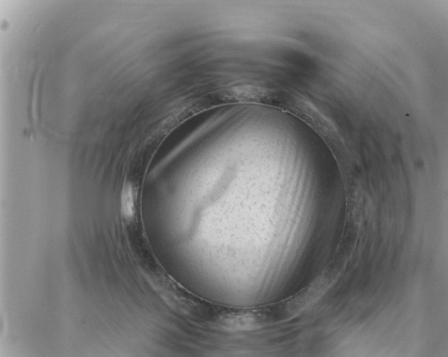 X0000087320075200705041725