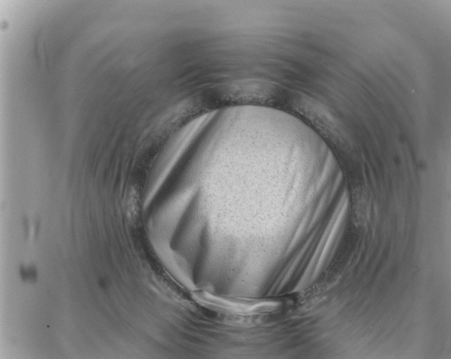 X0000087320077200705041725