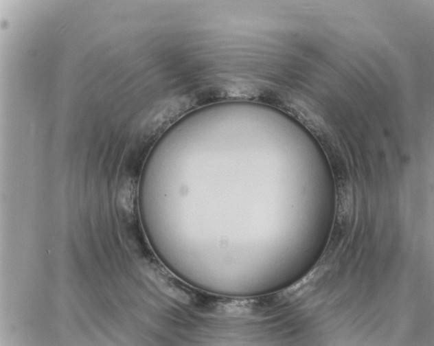 X0000087320078200705041725