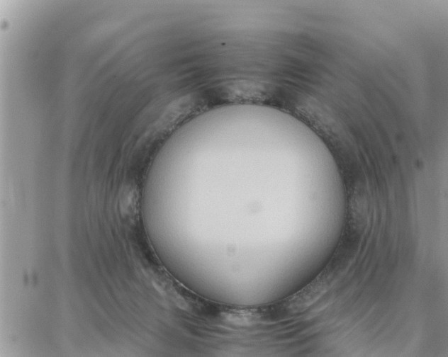 X0000087320079200705041725