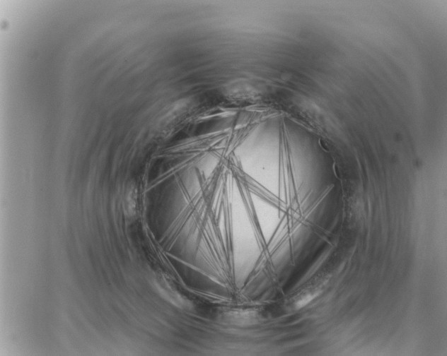 X0000087320081200705041725