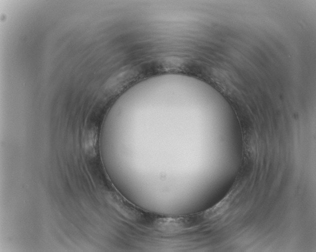 X0000087320082200705041725