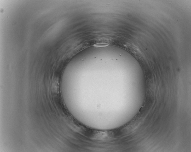 X0000087320083200705041725