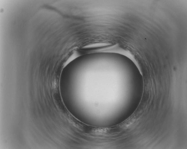 X0000087320084200705041725