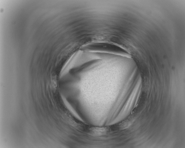 X0000087320085200705041725