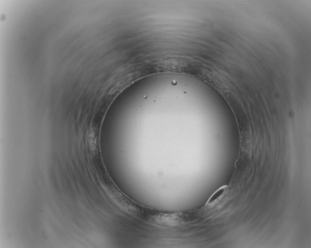 X0000087320086200705041725