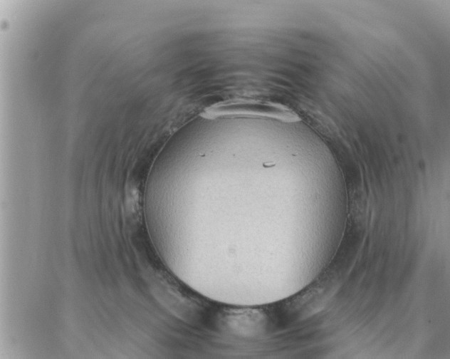 X0000087320087200705041725