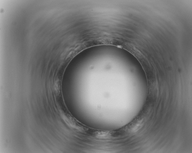 X0000087320088200705041725