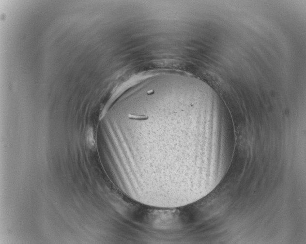 X0000087320089200705041725