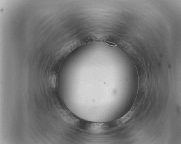 X0000087320090200705041725