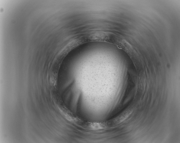 X0000087320091200705041725