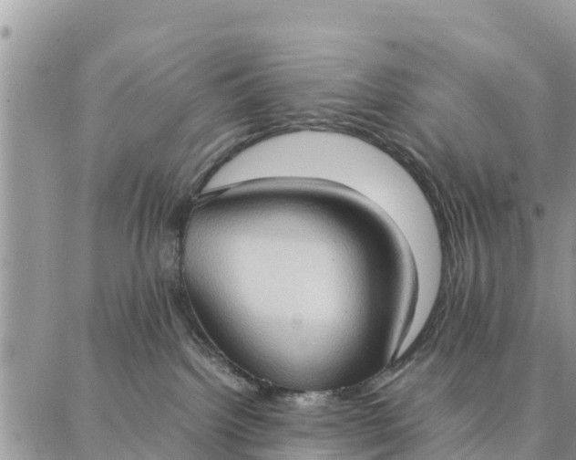 X0000087320092200705041725