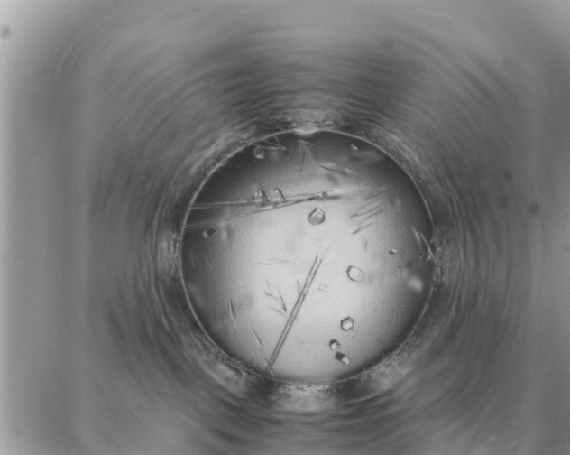 X0000087320093200705041725