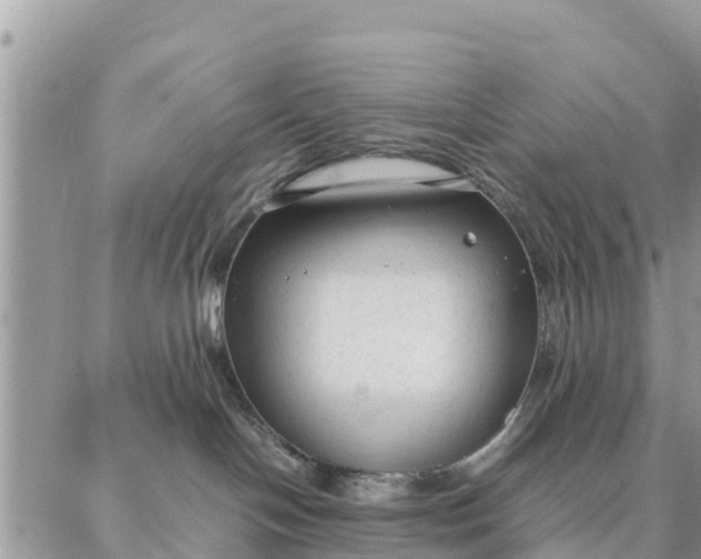 X0000087320094200705041725