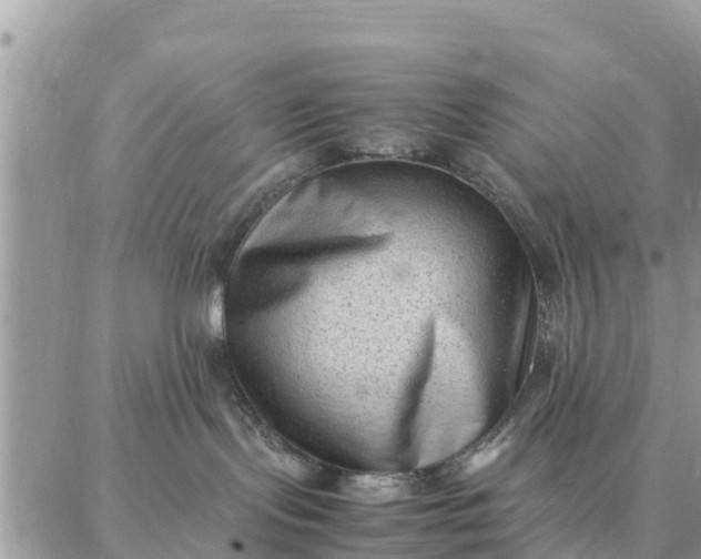 X0000087320095200705041725