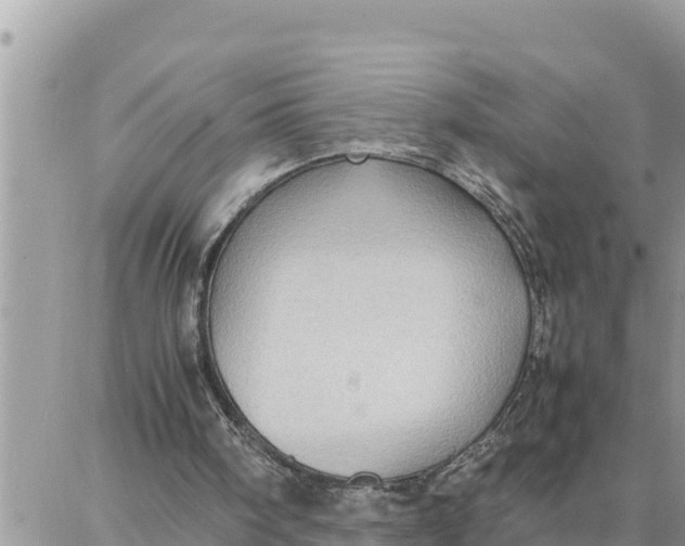 X0000087320098200705041724