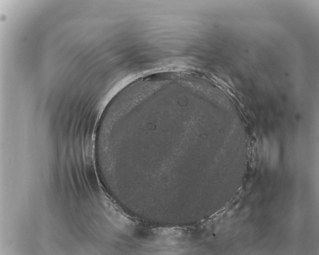 X0000087320100200705041724