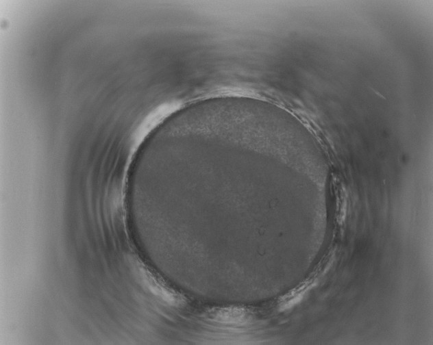 X0000087320104200705041724