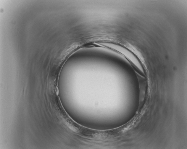 X0000087320105200705041724