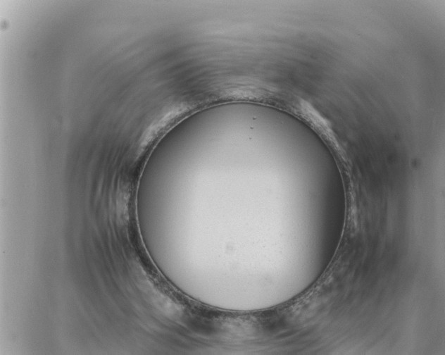 X0000087320106200705041724