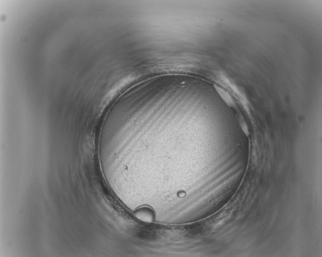 X0000087320107200705041724