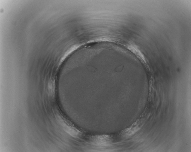 X0000087320108200705041724