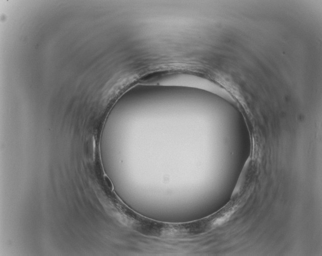 X0000087320109200705041724