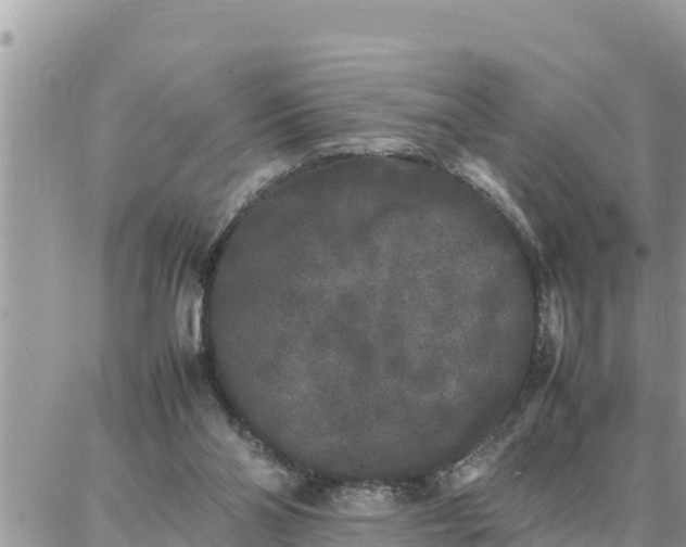 X0000087320110200705041724